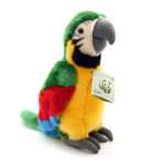 Зеленый попугай WWF