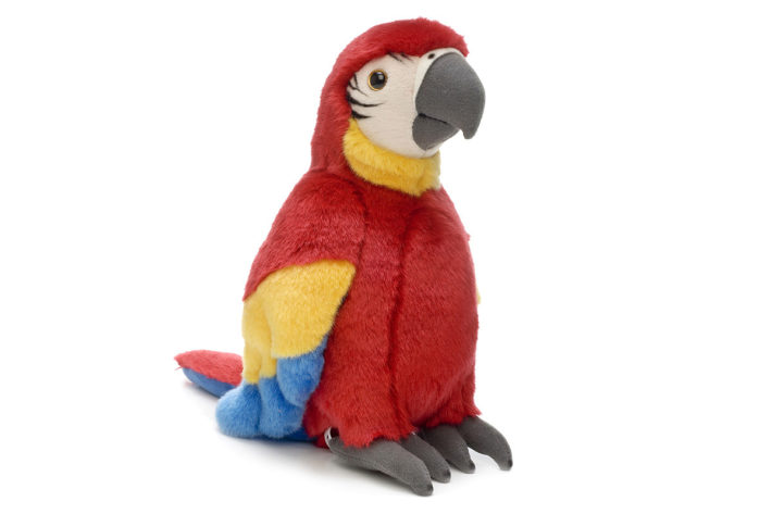 Красный попугай WWF